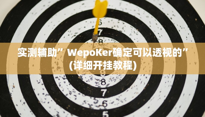 实测辅助”WepoKer确定可以透视的”(详细开挂教程)