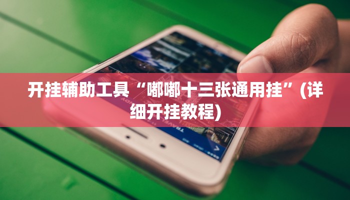 开挂辅助工具“嘟嘟十三张通用挂”(详细开挂教程)