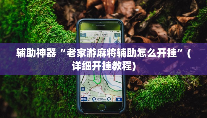 辅助神器“老家游麻将辅助怎么开挂”(详细开挂教程)