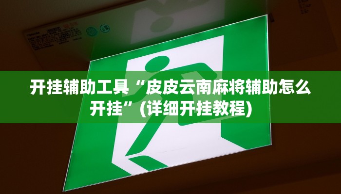 开挂辅助工具“皮皮云南麻将辅助怎么开挂”(详细开挂教程)
